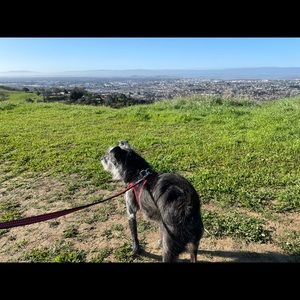 Meet your Posher, Ellen